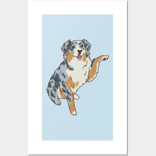 Cute australian shepherd illustration Posters and Art